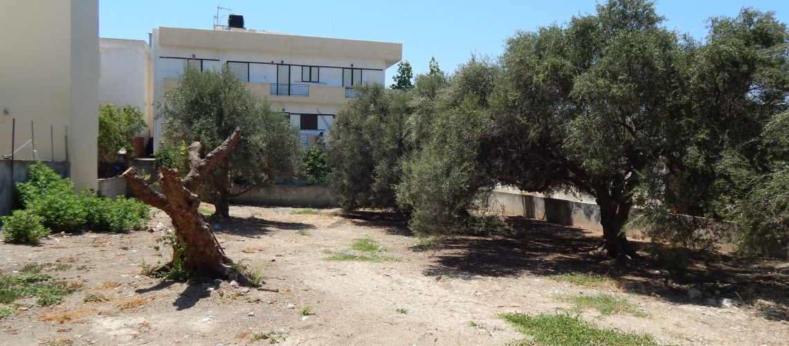 property first image