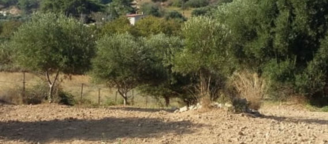 Ηράκλειο Καρτερός. Πωλείται αγροτεμάχιο στην περιοχή του Μέσα Καρτερού property first image