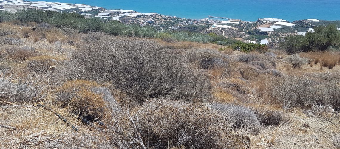 Ηράκλειο Άρβη . Πωλείται αμφιθεατρικό οικόπεδο 6.500 τ.μ. με πανοραμική θέα στην θάλασσα , property first image