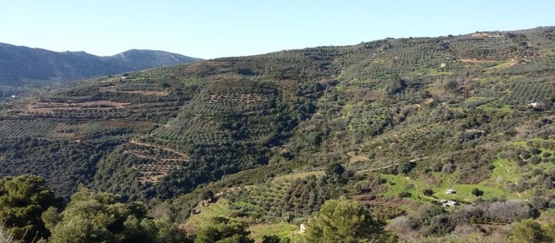 Heraklion Rodia. For sale a plot of 9.060 sq.m. even and buildable. property first image