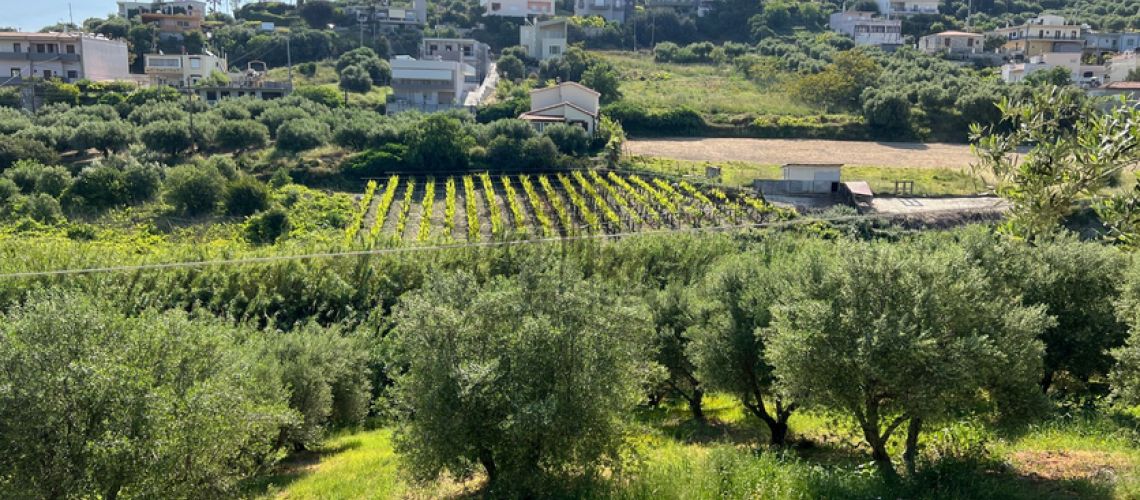 Heraklion Patsides. For sale a plot of 1100 sq.m with a beautiful view. property first image