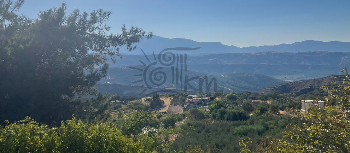 property first image