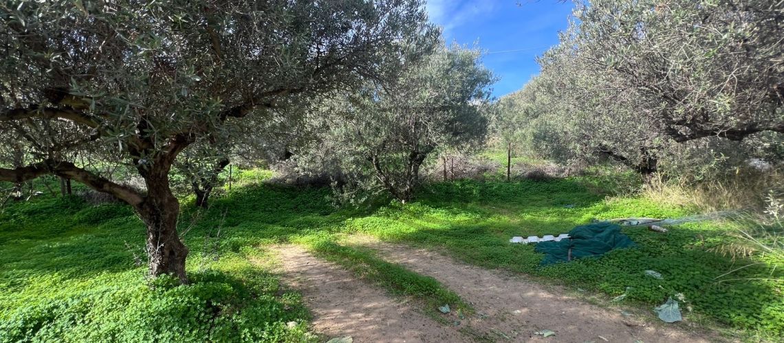 property first image