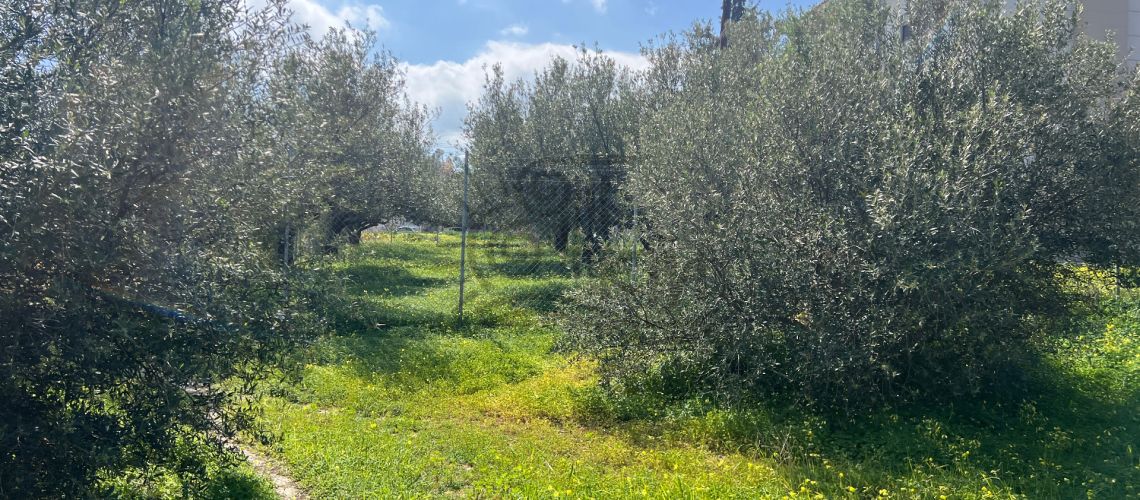 property first image